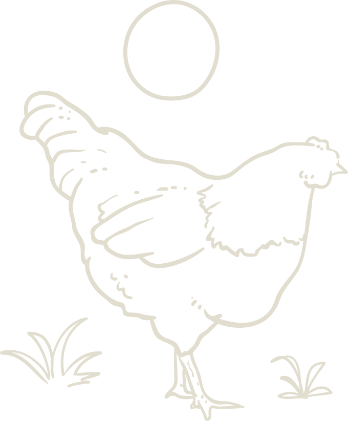 Tan chicken outline drawing