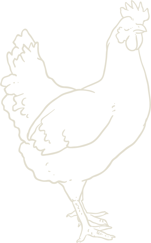 Tan chicken outline drawing