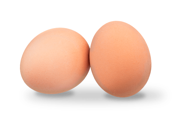 Two isolated eggs with shadow