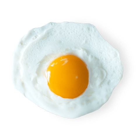 Isolated fried egg image with shadow