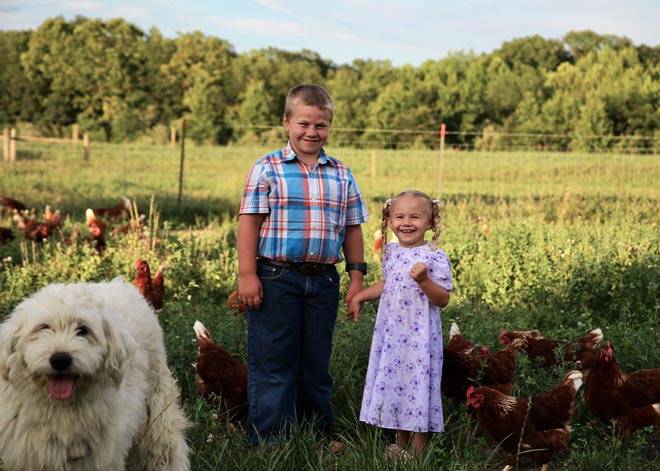 Burkholder children in a chicken pasture with their dog and the chickens